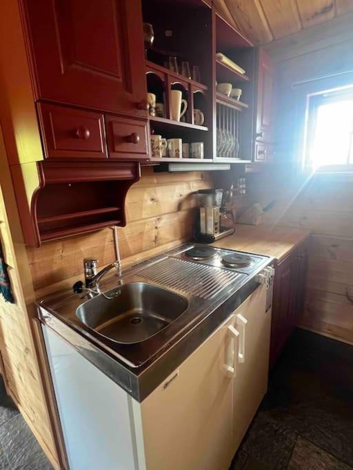 Hytte I Tuddal Villa Hjartdal Luaran gambar